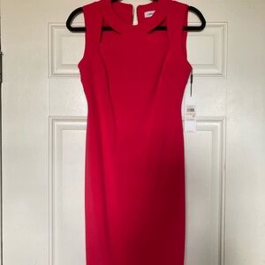 Calvin Klein Women's Bright hot Pink dress